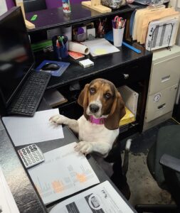 phtot office manager